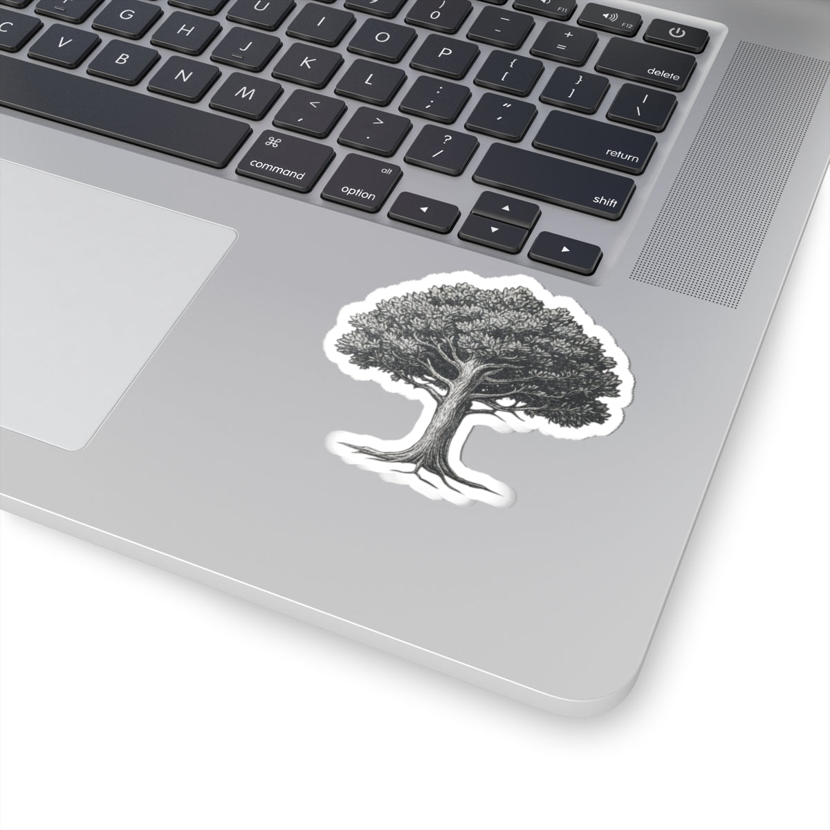 Oak Tree Kiss-Cut Sticker — Vintage Botanical Laptop Decal