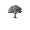 Oak Tree Kiss-Cut Sticker — Vintage Botanical Laptop Decal